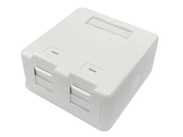 Lanview Surface mount box for 2 x