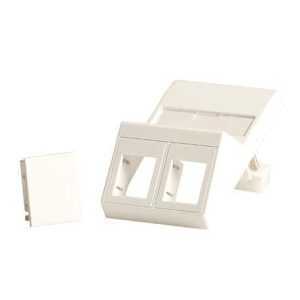 Lanview Wall plate, angled, for 2 x