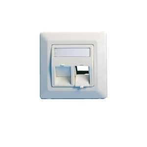 Lanview Wall plate, angled, double