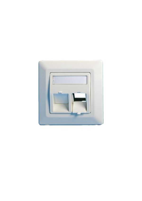 Lanview Wall plate, angled, double